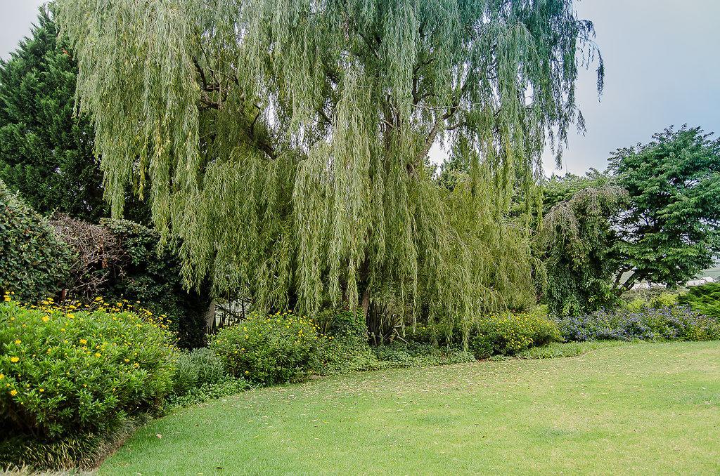 Glen Ormond Country House Henburg Park Esterno foto